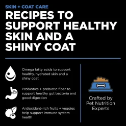 Online Skin + Coat Care Chicken Recipe With Grains for dogs Food Dry, Wet, Freeze Dried, Etc.