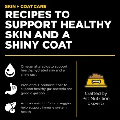 Best SKIN + COAT CARE Duck Recipe With Grains for dogs Food Dry, Wet, Freeze Dried, Etc.