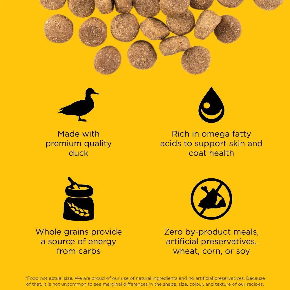Best SKIN + COAT CARE Duck Recipe With Grains for dogs Food Dry, Wet, Freeze Dried, Etc.