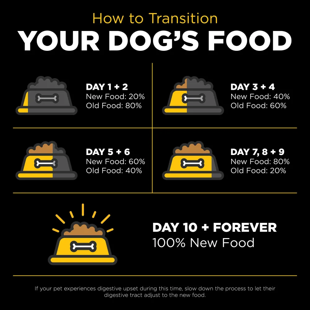 Best SKIN + COAT CARE Duck Recipe With Grains for dogs Food Dry, Wet, Freeze Dried, Etc.