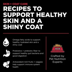 Hot Skin + Coat Care Lamb Recipe With Grains for dogs Food Dry, Wet, Freeze Dried, Etc.