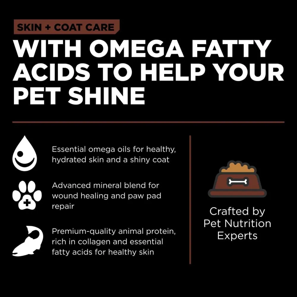 Fashion Skin + Coat Care Large Breed Puppy Salmon Recipe With Grains for dogs Food Dry, Wet, Freeze Dried, Etc.