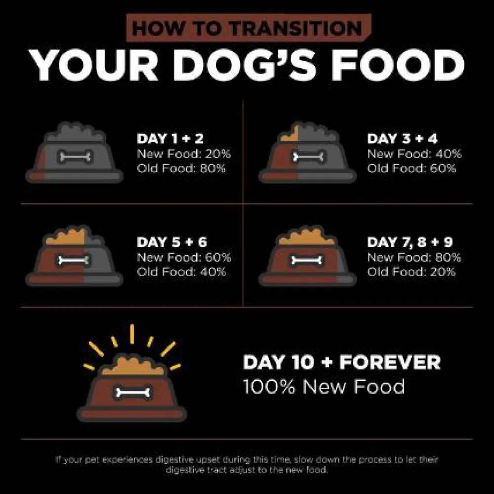 Fashion Skin + Coat Care Large Breed Puppy Salmon Recipe With Grains for dogs Food Dry, Wet, Freeze Dried, Etc.