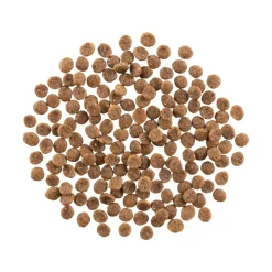 Online Weight Management + Joint Care Grain-Free Chicken Recipe for cats Dry Food Dry Cat Food