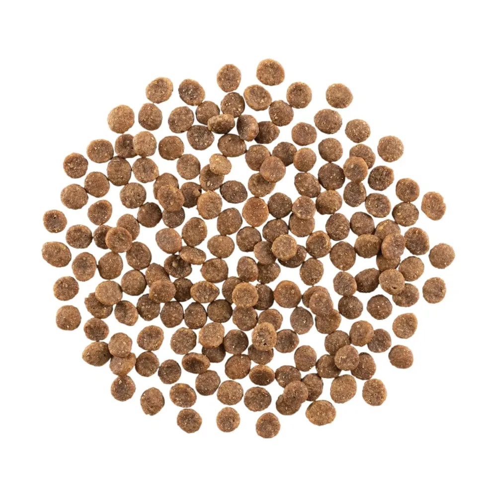 Online Weight Management + Joint Care Grain-Free Chicken Recipe for cats Dry Food Dry Cat Food