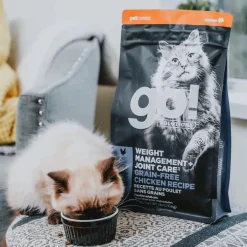 Online Weight Management + Joint Care Grain-Free Chicken Recipe for cats Dry Food Dry Cat Food