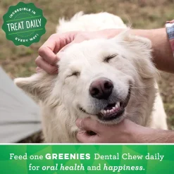 Discount Dental Treat Original Petite Treats Treats & Chews
