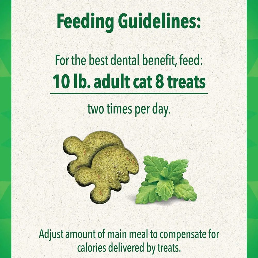 Fashion Feline Natural Dental Care Cat Treats Catnip Flavour Treats Crunchy, Soft, Lickable, Etc.