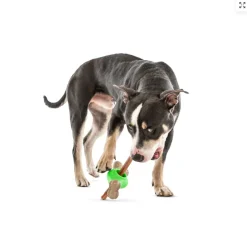 Best Dog Adjust-A-Chew Supplies Leashes, Collars, Beds, Flea & Tick, Etc. | Toys Interactive, Plush, Etc.