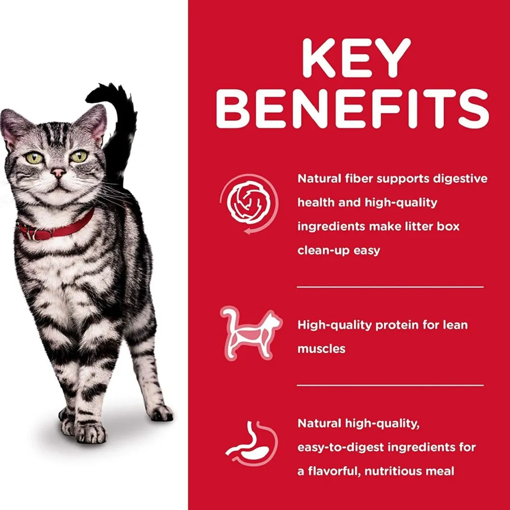 New Adult Indoor cat food Dry Food Dry Cat Food