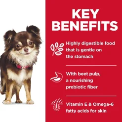 Clearance Adult Sensitive Stomach & Skin Small & Mini Chicken Recipe Dog Food Food Dry, Wet, Freeze Dried, Etc.