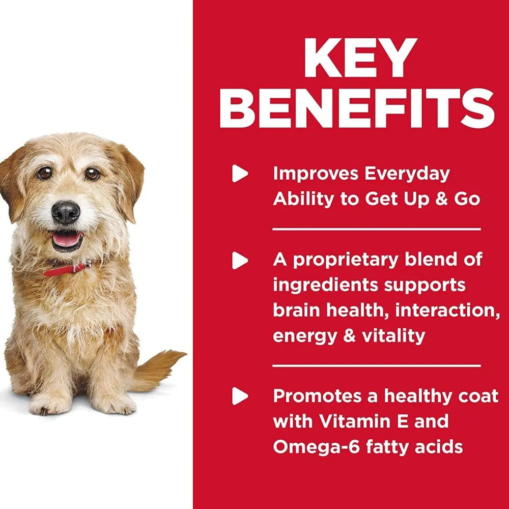Fashion Adult 7+ Senior Vitality Small & Mini Dry Dog Food Food Dry, Wet, Freeze Dried, Etc.