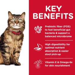 Best Hill's® Science Diet® Adult Sensitive Stomach & Skin dry cat food Dry Food Dry Cat Food