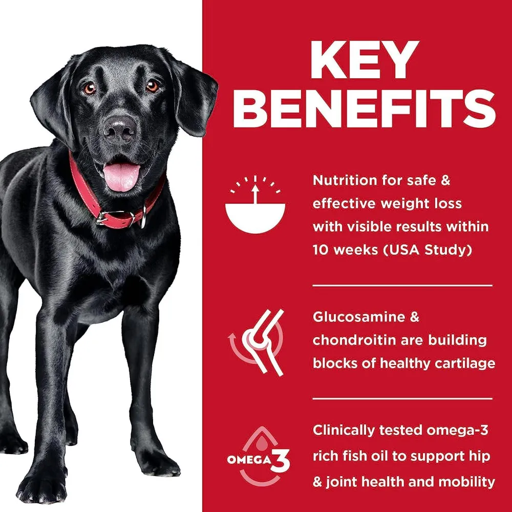 Outlet Adult Perfect Weight & Joint Support Large Breed Dry Dog Food Chicken Recipe Food Dry, Wet, Freeze Dried, Etc.