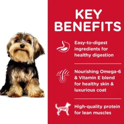 Hot Adult Small Paws Lamb Meal & Rice Recipe Dry Dog Food Food Dry, Wet, Freeze Dried, Etc.