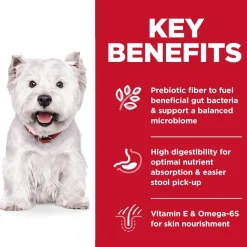 Fashion Adult Sensitive Stomach & Skin Small Bites Dry Dog Food, Chicken Recipe, 1.81 Kg Bag Food Dry, Wet, Freeze Dried, Etc.