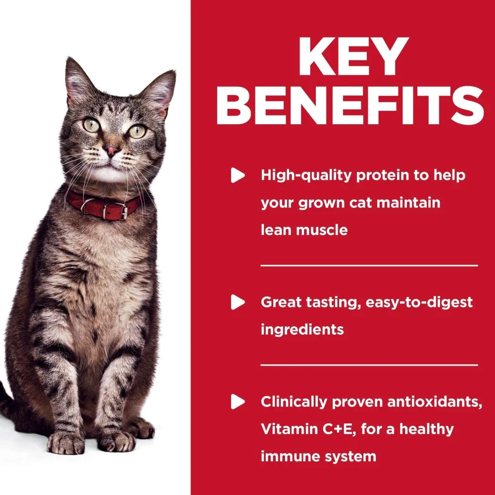 Fashion Adult Wet Cat Food, Ocean Fish, 79g pouch Wet Food Cans, Pouches, Tetra Paks, Etc.