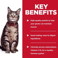 Outlet Adult Wet Cat Food, Tuna, 79g pouch Wet Food Cans, Pouches, Tetra Paks, Etc.