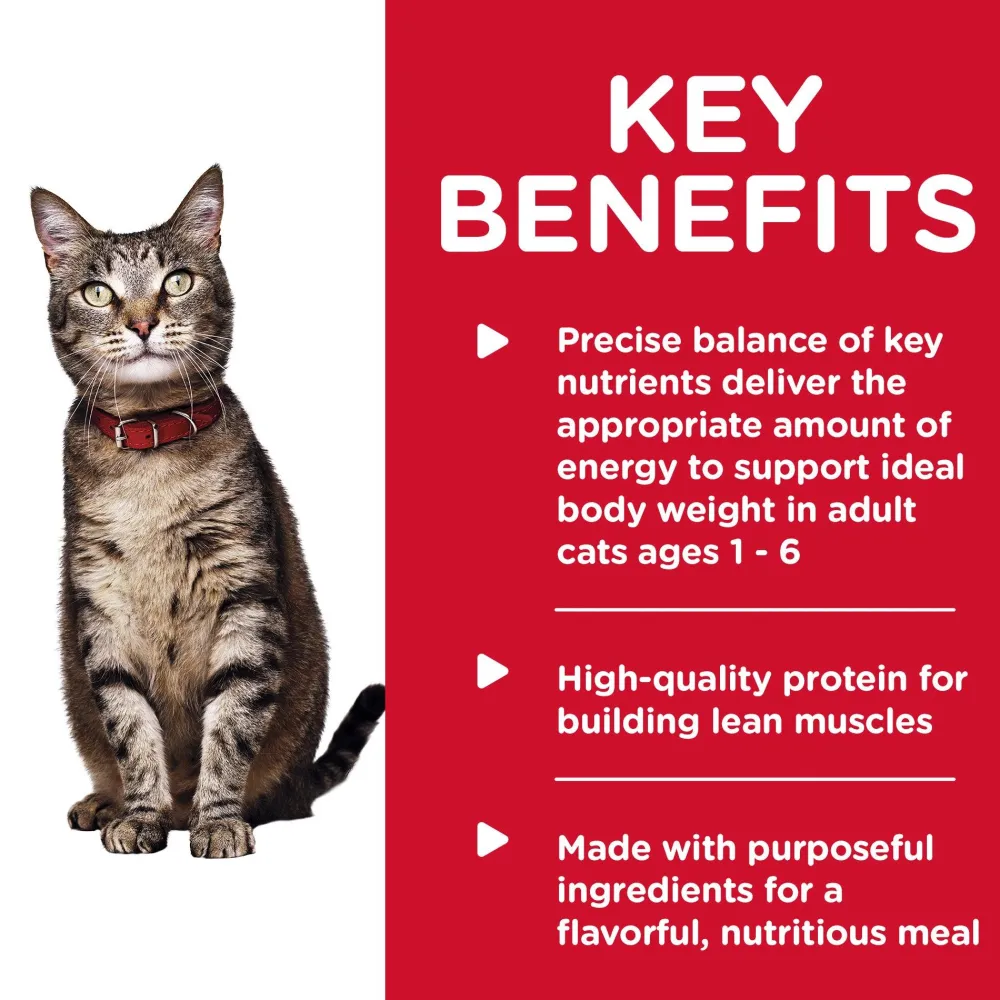 New Canned Cat Food Adult Turkey Entrée Wet Food Cans, Pouches, Tetra Paks, Etc.