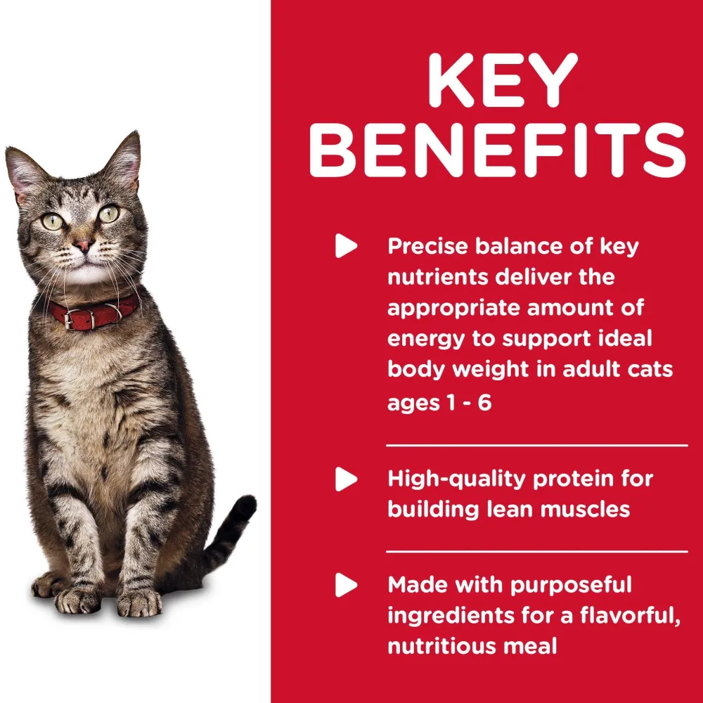 Online Canned Cat Food Adult Turkey & Liver Wet Food Cans, Pouches, Tetra Paks, Etc.