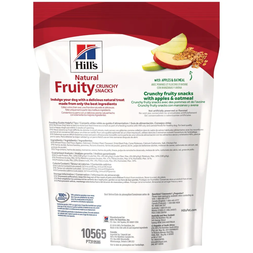 New Dog Treats Natural Fruity Apple & Oatmeal Treats Treats & Chews