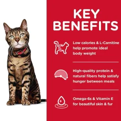 Online Dry Cat Food, Adult, Light for Healthy Weight & Weight Management, Chicken Recipe Dry Food Dry Cat Food
