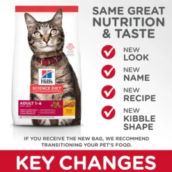 Online Dry Cat Food Adult Chicken Recipe Dry Food Dry Cat Food