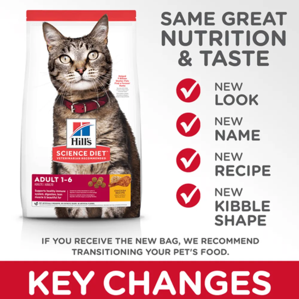 Online Dry Cat Food Adult Chicken Recipe Dry Food Dry Cat Food