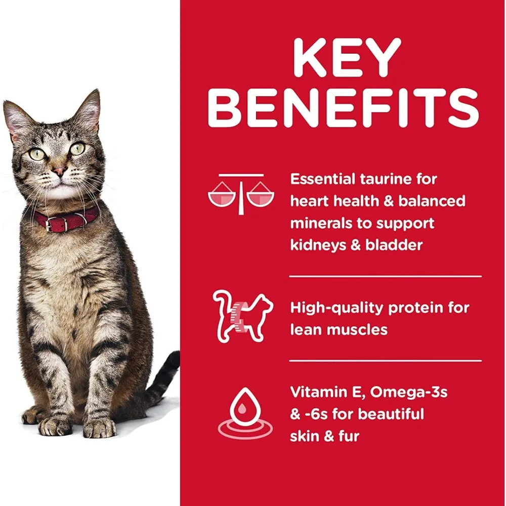 Online Dry Cat Food Adult Chicken Recipe Dry Food Dry Cat Food