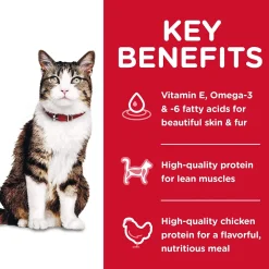 Outlet Dry Cat Food, Adult, Hairball Control, Chicken Recipe Dry Food Dry Cat Food