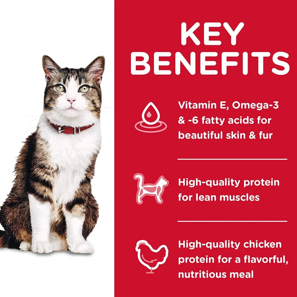 Outlet Dry Cat Food, Adult, Hairball Control, Chicken Recipe Dry Food Dry Cat Food