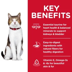New Dry Cat Food, Adult 7+ for Senior Cats, Chicken Recipe Dry Food Dry Cat Food