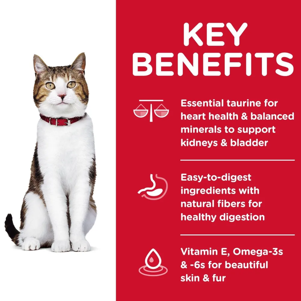 New Dry Cat Food, Adult 7+ for Senior Cats, Chicken Recipe Dry Food Dry Cat Food
