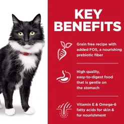 Outlet , Dry Cat Food, Adult, Sensitive Stomach & Skin, Grain Free Salmon Recipe Dry Food Dry Cat Food
