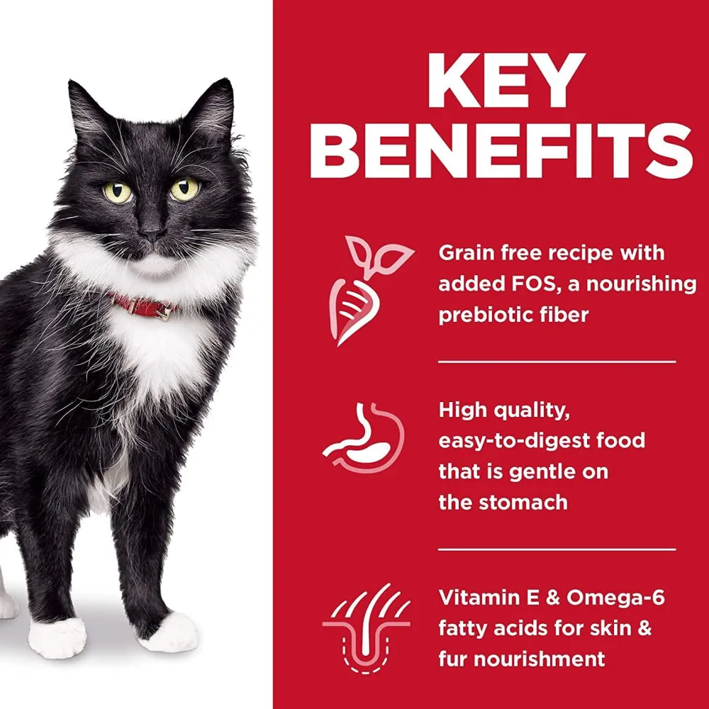 Outlet , Dry Cat Food, Adult, Sensitive Stomach & Skin, Grain Free Salmon Recipe Dry Food Dry Cat Food