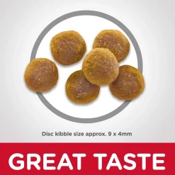 Online Dry Cat Food Adult Chicken Recipe Dry Food Dry Cat Food