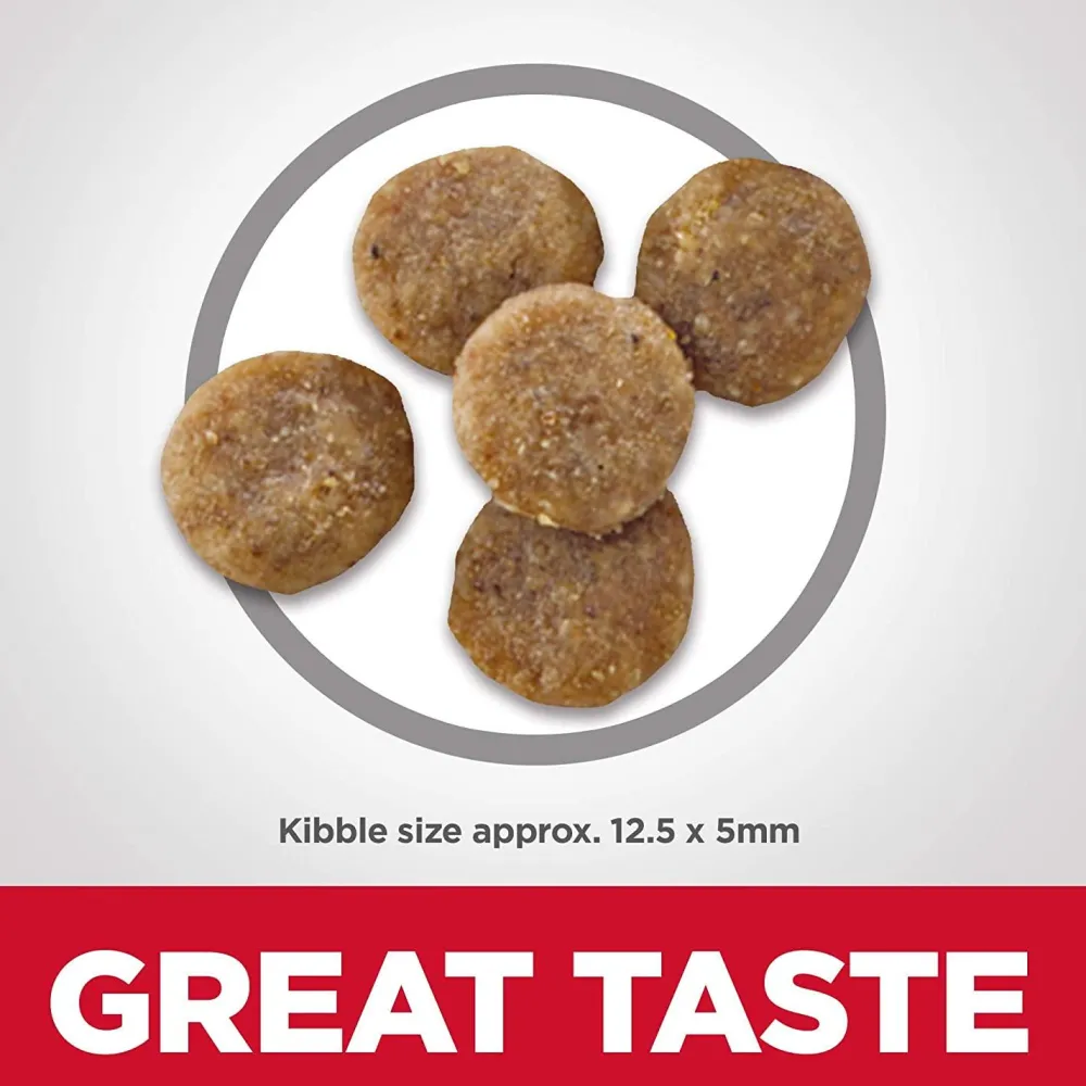 Outlet , Dry Cat Food, Adult, Sensitive Stomach & Skin, Grain Free Salmon Recipe Dry Food Dry Cat Food