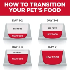 Outlet , Dry Cat Food, Adult, Sensitive Stomach & Skin, Grain Free Salmon Recipe Dry Food Dry Cat Food
