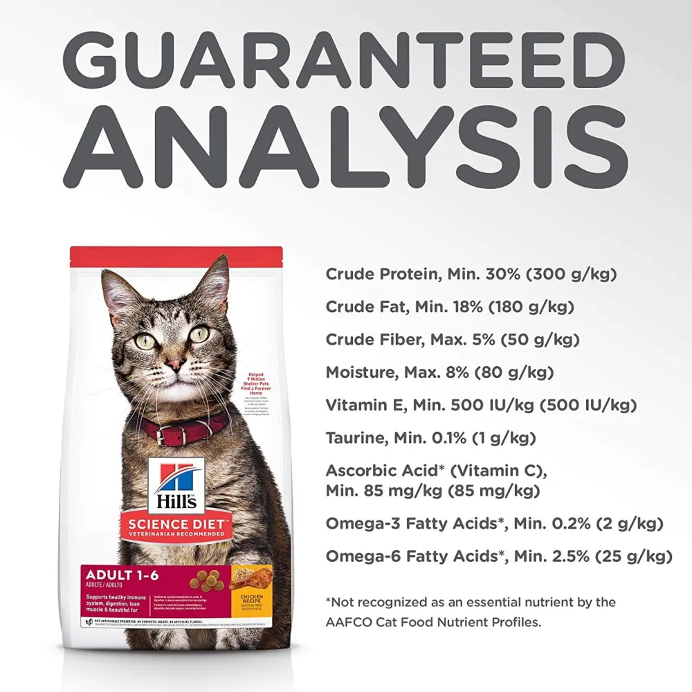 Online Dry Cat Food Adult Chicken Recipe Dry Food Dry Cat Food