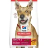 Clearance Dry Dog Food Adult 1-6 Food Dry, Wet, Freeze Dried, Etc.