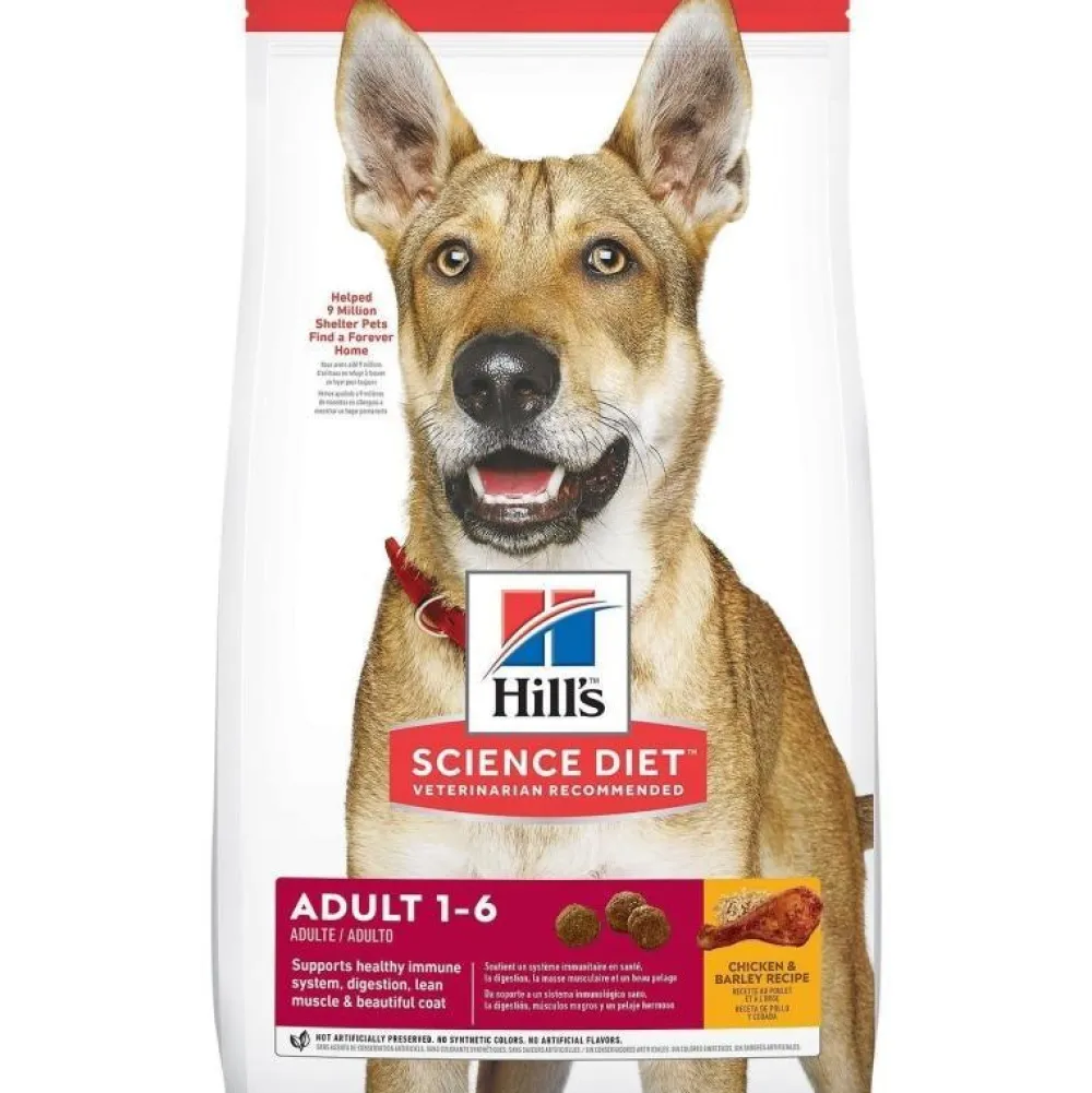 Clearance Dry Dog Food Adult 1-6 Food Dry, Wet, Freeze Dried, Etc.