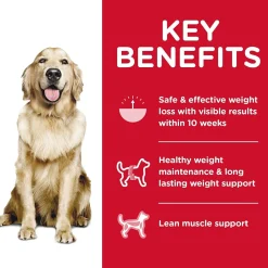 Online Dry Dog Food Adult Perfect Weight for Weight Management Chicken Recipe Food Dry, Wet, Freeze Dried, Etc.