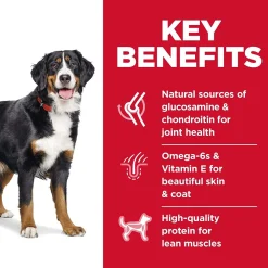 Sale Dry Dog Food Adult 1-5 Large Breed Chicken Food Dry, Wet, Freeze Dried, Etc.
