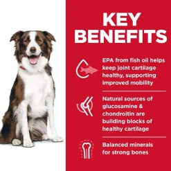 Best Dry Dog Food, Adult, Large Breed, Healthy Mobility for Joint Health, Chicken Meal, Brown Rice & Barley Recipe Food Dry, Wet, Freeze Dried, Etc.