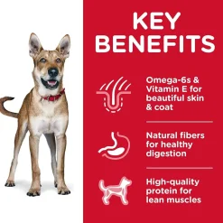 Clearance Dry Dog Food Adult 1-6 Food Dry, Wet, Freeze Dried, Etc.