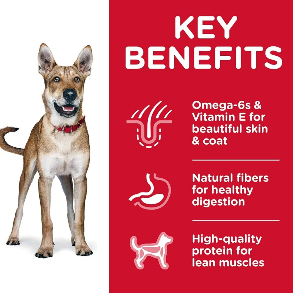 Clearance Dry Dog Food Adult 1-6 Food Dry, Wet, Freeze Dried, Etc.