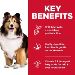 Sale Dry Dog Food, Adult, Sensitive Stomach & Skin Recipes Food Dry, Wet, Freeze Dried, Etc.