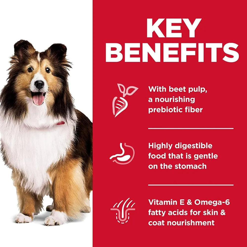 Sale Dry Dog Food, Adult, Sensitive Stomach & Skin Recipes Food Dry, Wet, Freeze Dried, Etc.