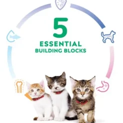 Online Kitten Dry Ocean Fish & Brown Rice Recipe Dry Cat Food Dry Food Dry Cat Food