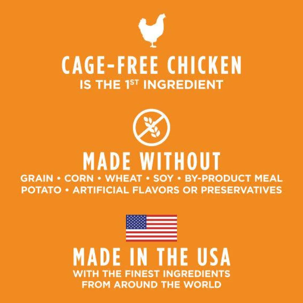 Sale Freeze-Dried Raw Boost Mixers Grain-Free Gut Health Recipe Dog Food Topper Treats Treats & Chews